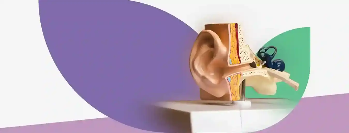 Best Audiology in Siliguri